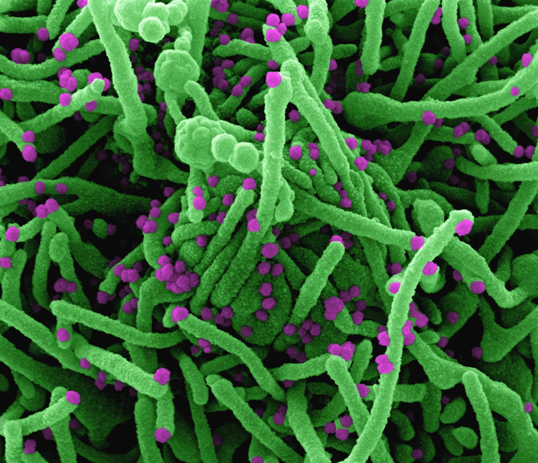 Combatting Antimicrobial Resistance: A New Framework for Healthier Futures
