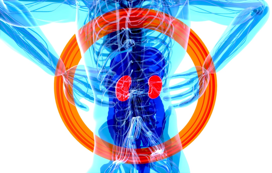 New Hope for Kidney Health: Targeted Therapies on the Rise