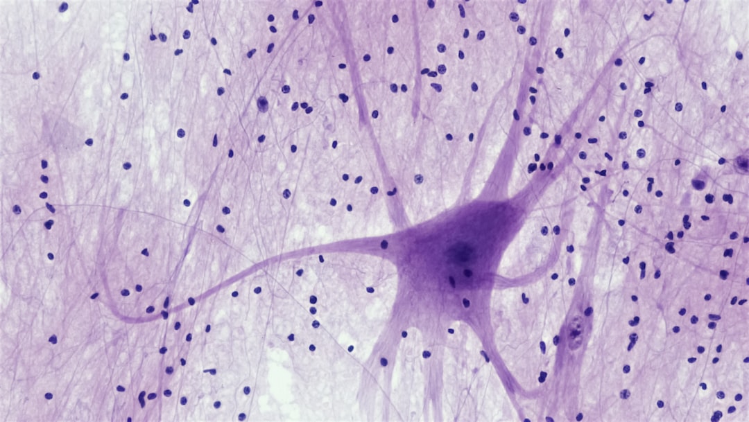 Understanding Neuroacanthocytosis: A Call to Recognize Mental Health in...